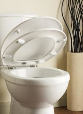WC Seats/Toilet Seats Products